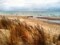 Pier Cove Beach With Autumn Grasses Poster Print by Michelle Calkins # MCK117016